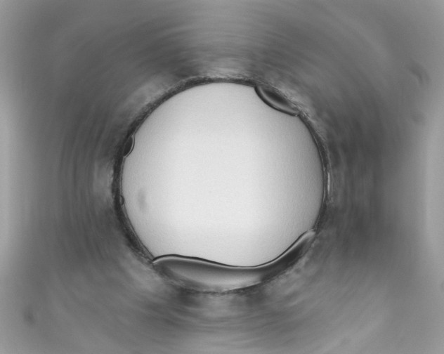 X0000111020201200907171902