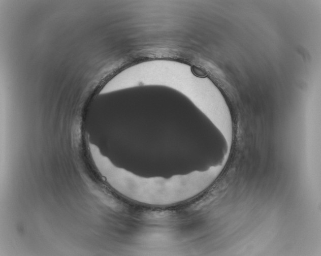 X0000111020202200907171902