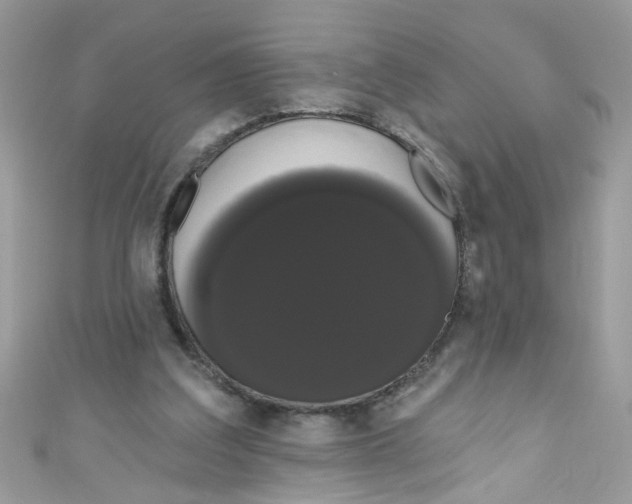 X0000111020203200907171902