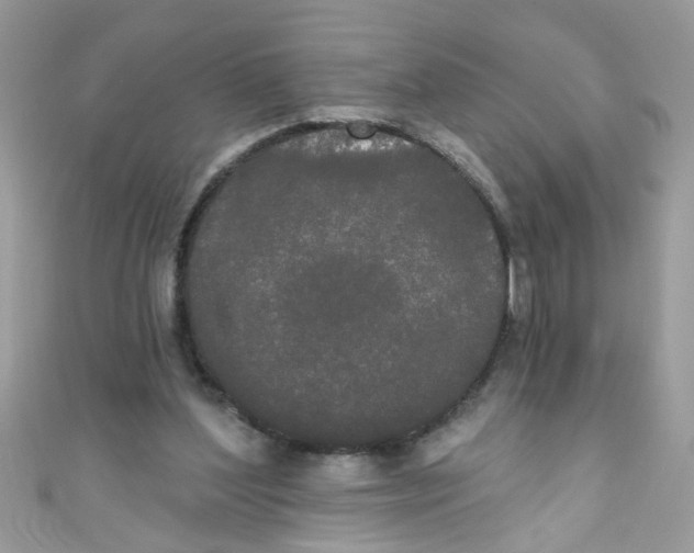 X0000111020204200907171902