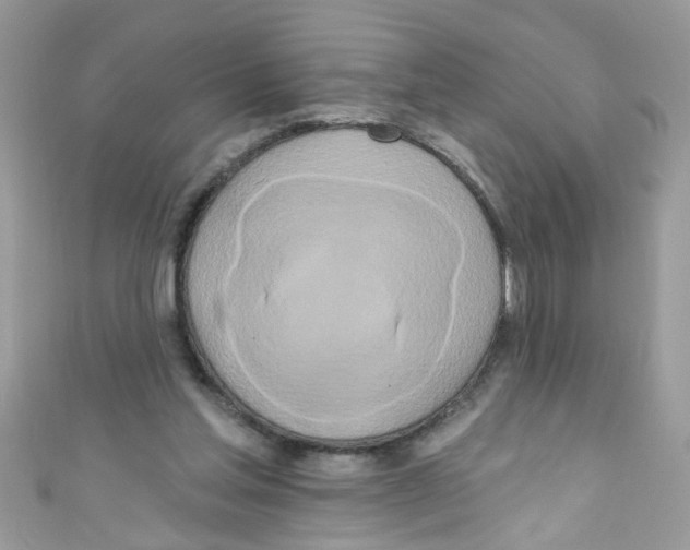 X0000111020205200907171902