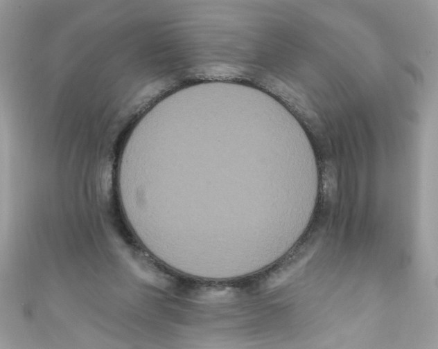 X0000111020206200907171902