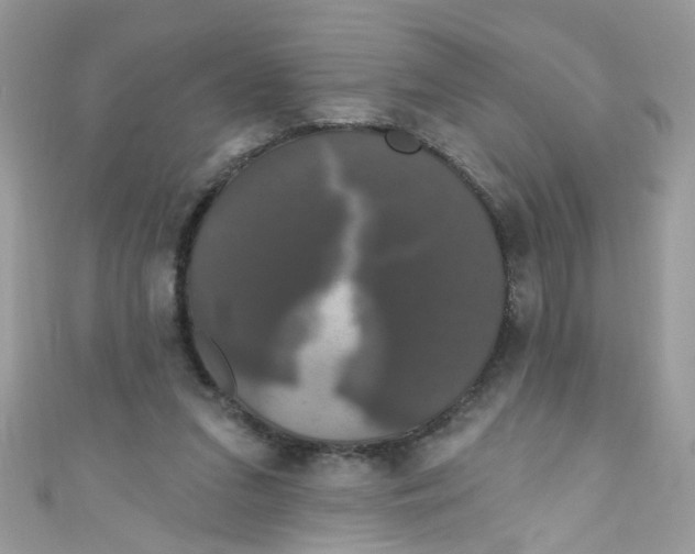X0000111020207200907171902