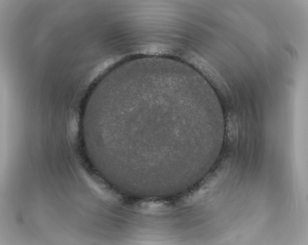 X0000111020208200907171902