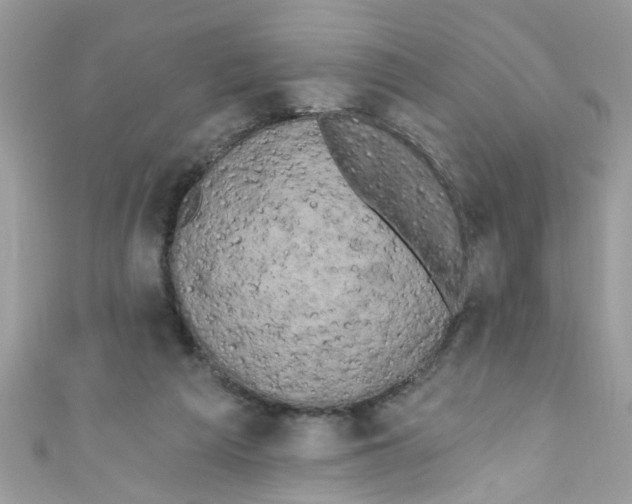X0000111020209200907171902