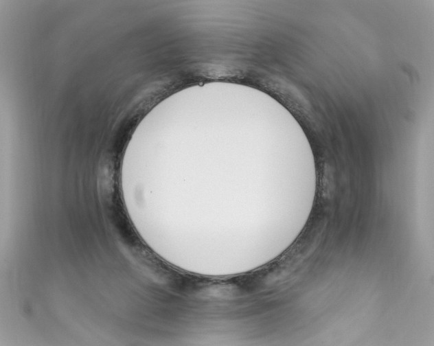 X0000111020210200907171902