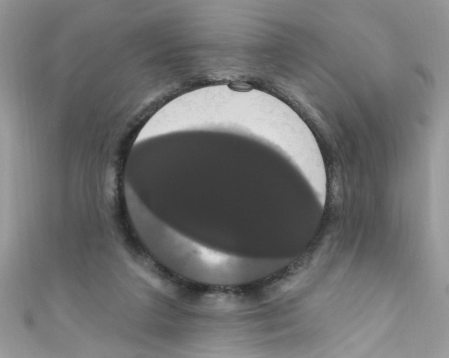 X0000111020211200907171902