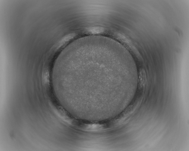 X0000111020212200907171902