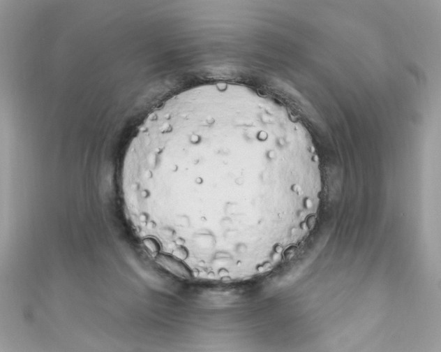 X0000111020213200907171902