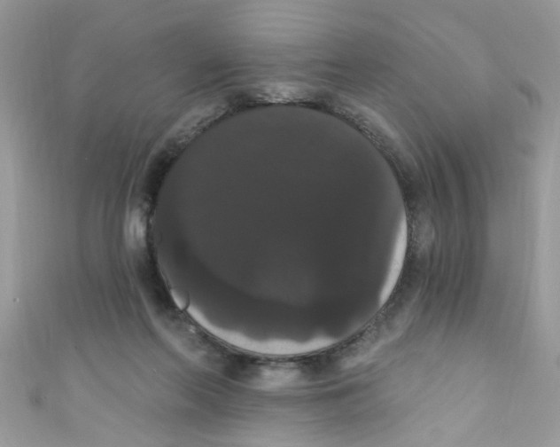 X0000111020214200907171902