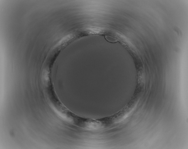 X0000111020215200907171902