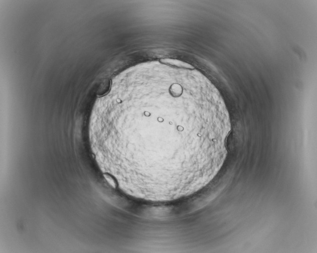 X0000111020217200907171902