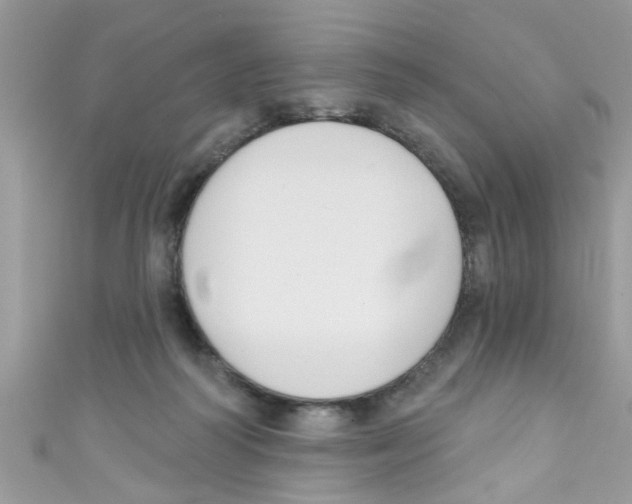 X0000111020218200907171902