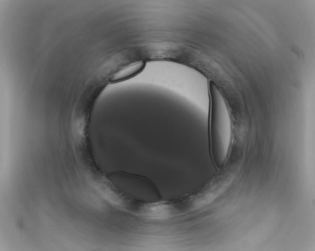 X0000111020219200907171902