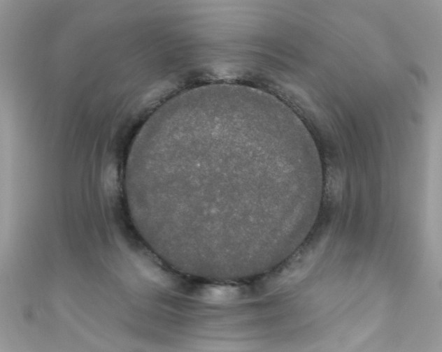 X0000111020220200907171902