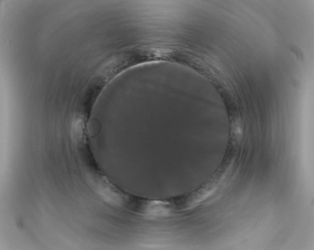 X0000111020222200907171902