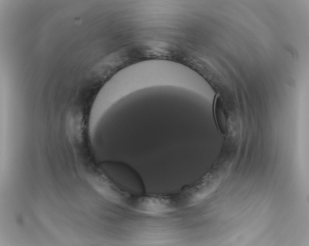 X0000111020223200907171902