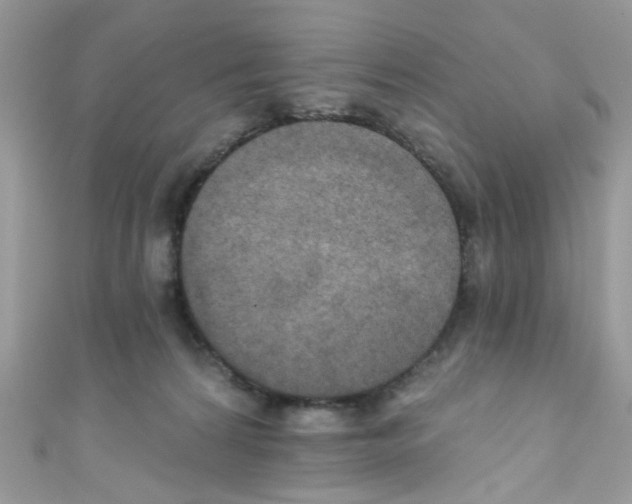 X0000111020224200907171902