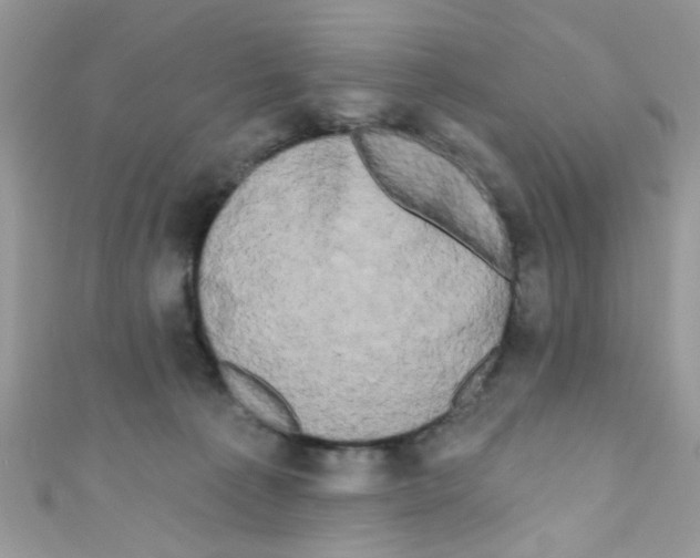 X0000111020225200907171902