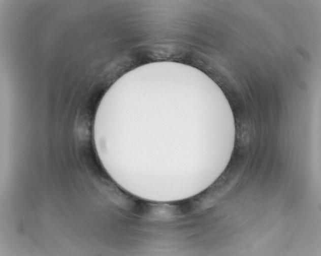 X0000111020226200907171902