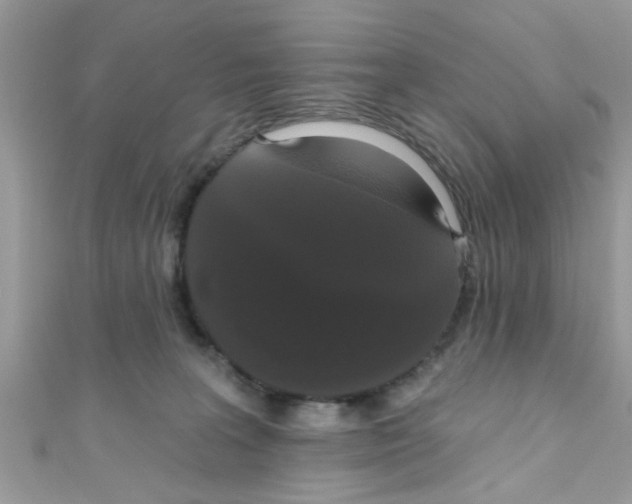 X0000111020227200907171902