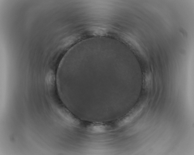 X0000111020228200907171902
