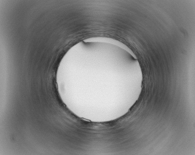X0000111020229200907171901