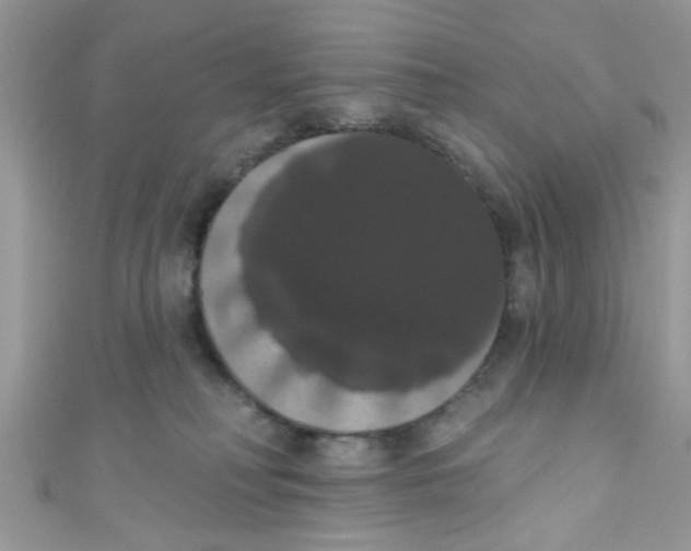 X0000111020230200907171901