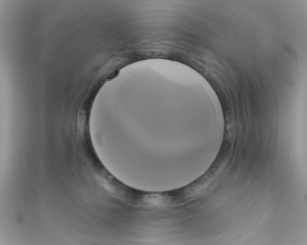 X0000111020231200907171901
