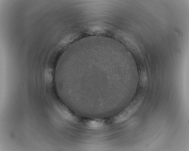 X0000111020232200907171901