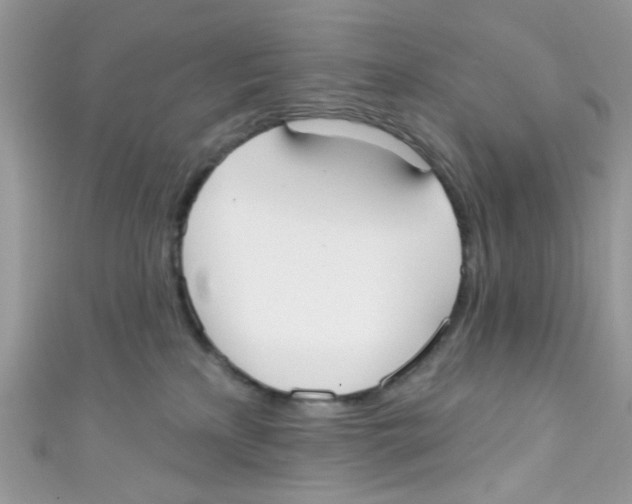 X0000111020233200907171901