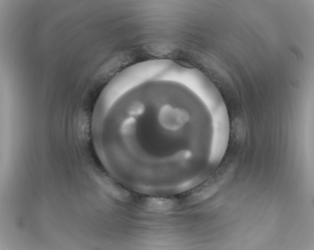 X0000111020234200907171901