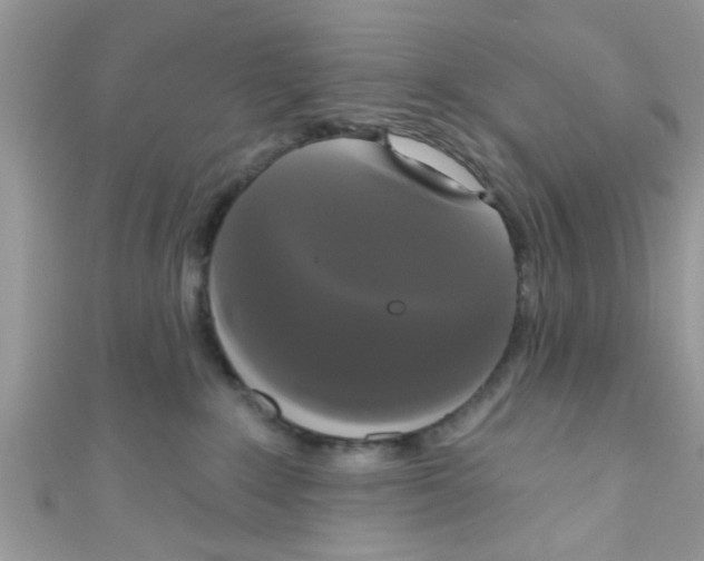 X0000111020235200907171901