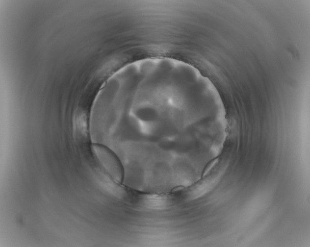 X0000111020238200907171901