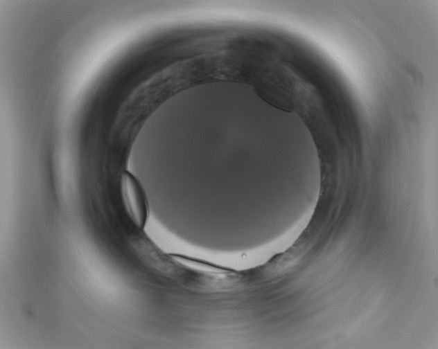 X0000111020239200907171901