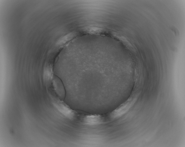 X0000111020240200907171901