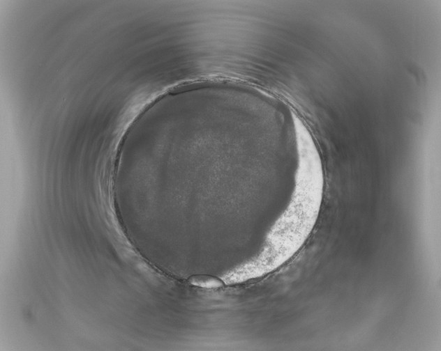 X0000111020241200907171901