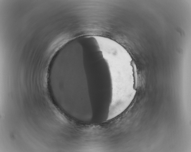 X0000111020243200907171901
