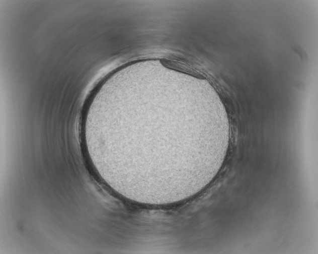 X0000111020244200907171901