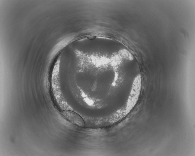 X0000111020245200907171901