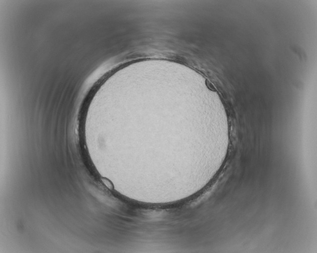 X0000111020246200907171901