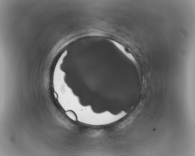 X0000111020247200907171901