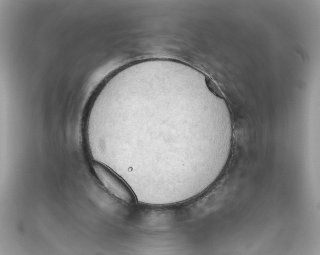 X0000111020248200907171901