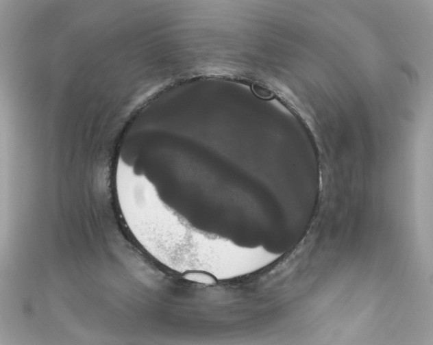 X0000111020249200907171901