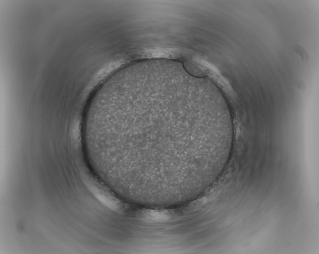 X0000111020250200907171901