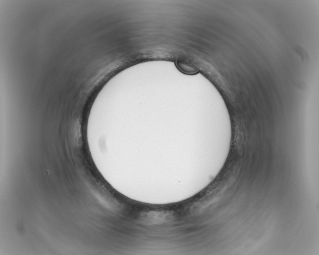X0000111020251200907171901
