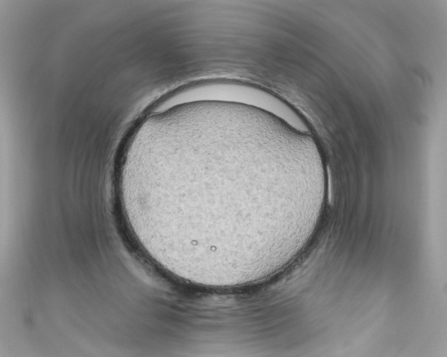 X0000111020252200907171901
