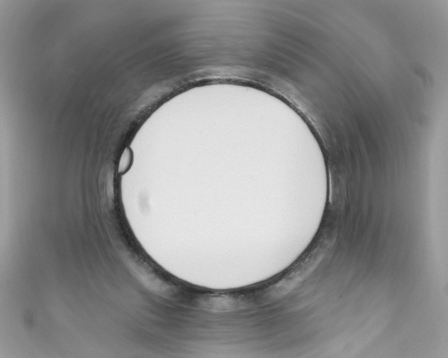 X0000111020253200907171901
