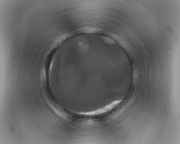X0000111020254200907171901