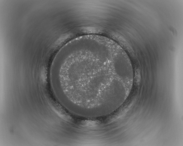X0000111020255200907171901